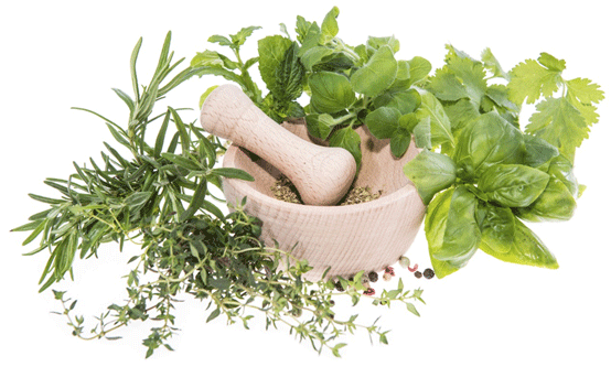 A picture of herbs and tools.